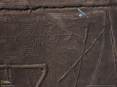 Tapeta National Geographic 383.jpg